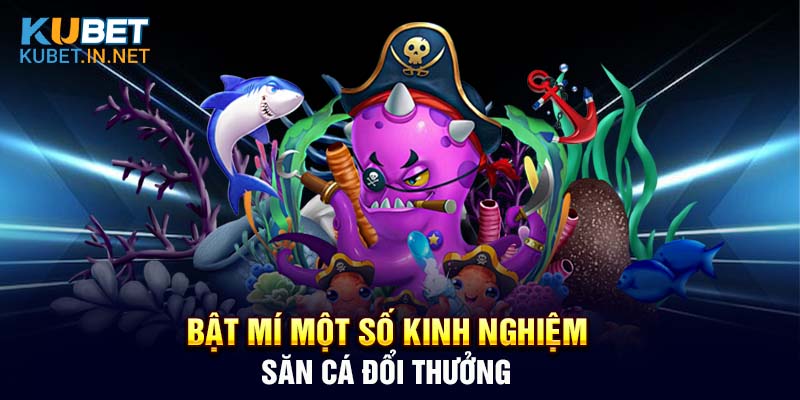 Bật mí một số kinh nghiệm săn cá đổi thưởng