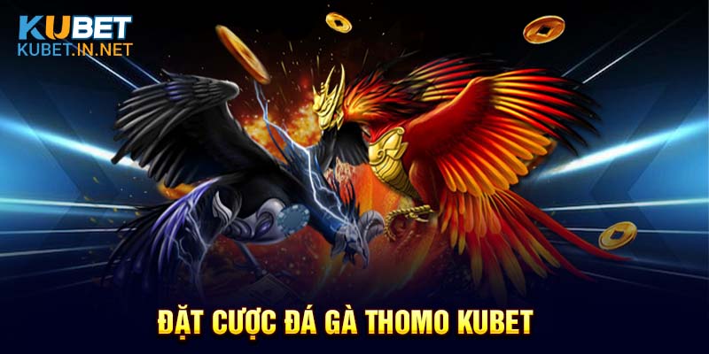 Cá cược đá gà Thomo Kubet