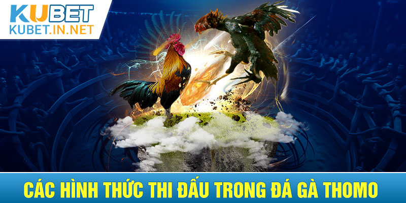 Các hình thức thi đấu khi chơi đá gà