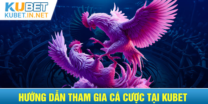 Hướng dẫn tân thủ các bước tham gia cá cược tại Kubet