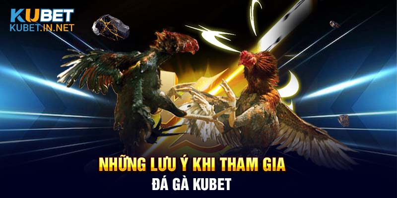 Những lưu ý khi tham gia đá gà Kubet